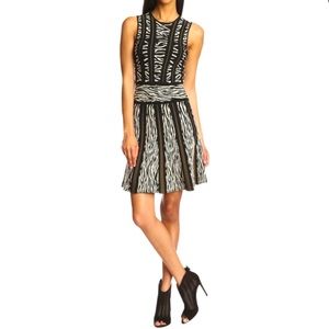 Torn by Ronny Kobo Hilda Zebra Jacquard Dress